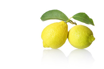Coppia di limoni