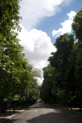 Obraz premium Park road