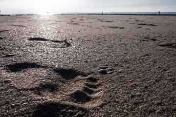 sandstrand und fußabdruck im sand