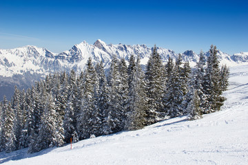 Skiing slope