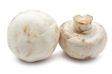 Champignon mushrooms