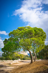Beautiful view of ancient Acropolis, Athens, Greece