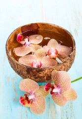Fototapeta na wymiar Orchid in bowl