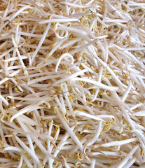 bean sprouts