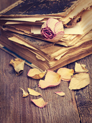 Dry rose and  books