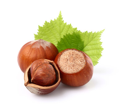 Hazelnuts with leaves