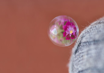 Bubble and reflection