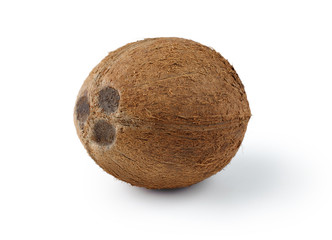 Coconut on a white background. Parts of coconut
