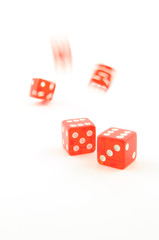 Roll the dice