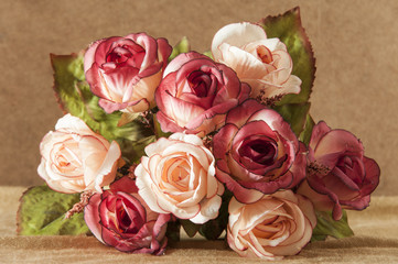 rose flowers