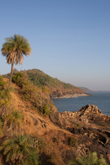 paradise b.