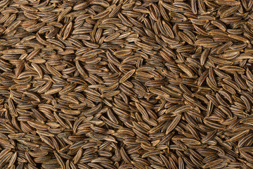 Kümmel, Caraway Seed