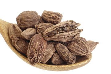 Black cardamom on spoon