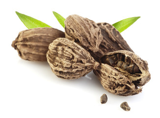 Black cardamom pods
