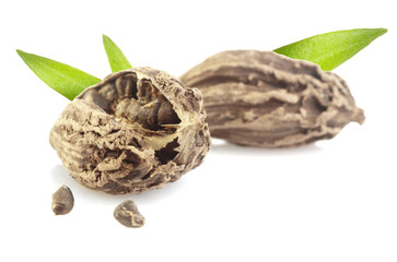 Black cardamom pods