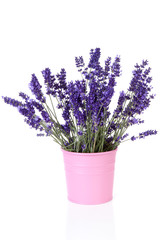 Fototapeta premium Bouquet of picked lavender in vase over white background