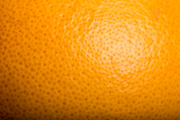 Ripe Orange Background