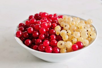 The bowl with the red and white currant