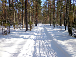 Winter road