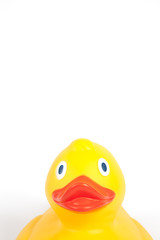 Badeente im Anschnitt auf weiß isoliert