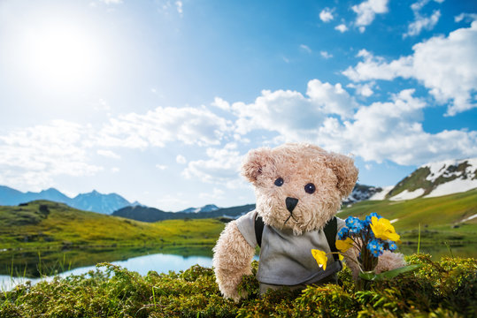 teddy bear hiking
