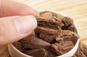 Hand holding black cardamom pods