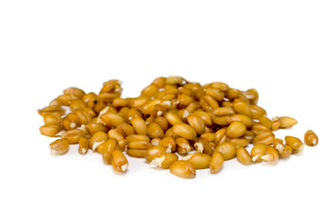 sprouted grains