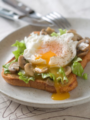 sandwich