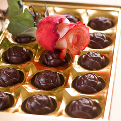 Beautiful rose and chocolate candies