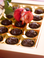 Beautiful rose and chocolate candies