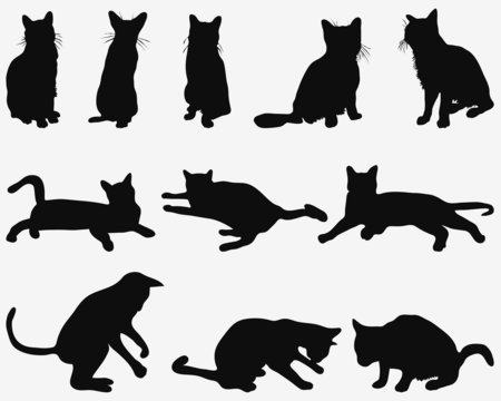 Black silhouettes of cats in resting poses, vector