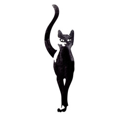black cat