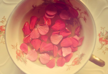 Cup of tea with petals close up vintage
