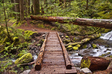Footbridge on top of Mt. Rainier in Washington State