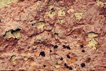 Wall texture