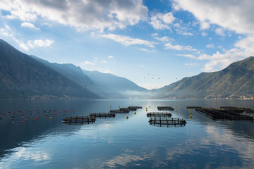 Morning mist on Kotor bay