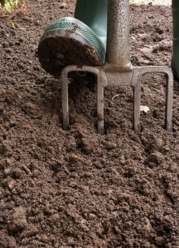 Digging the Garden