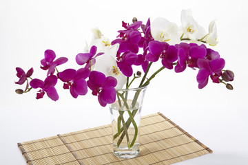 Strauß aus weißen und lilafarbenen Orchideen