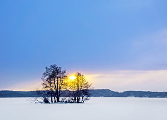 Small island in winter