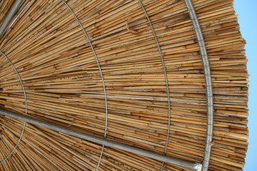 parasol from cane