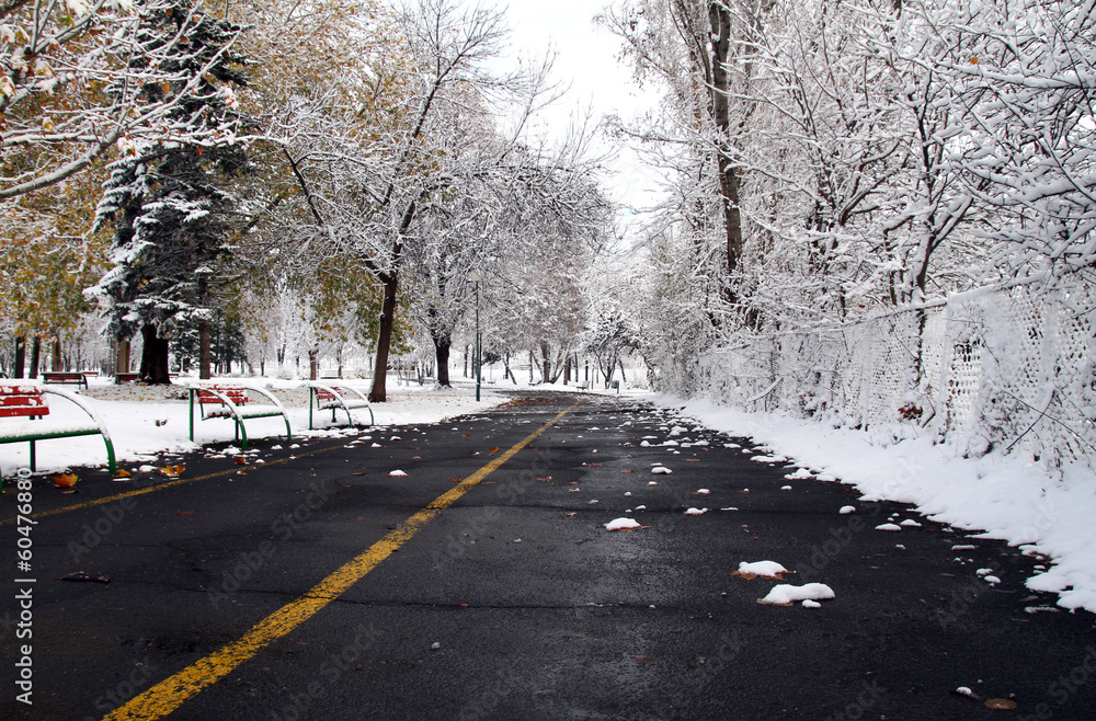 Wall mural snow in the park