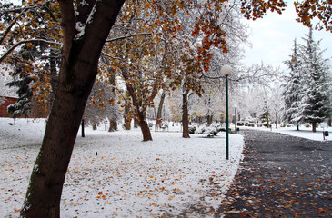 Snow in the Park