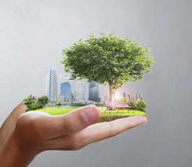 human hand holding  city
