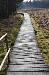 Bohlenpfad durch Moorlandschaft