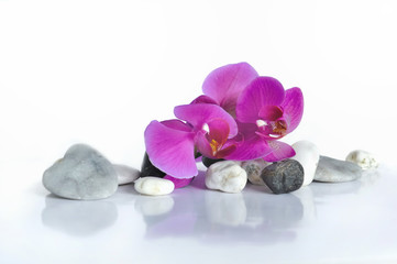 orchidée et cœur en pierre