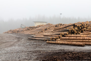 Log stock