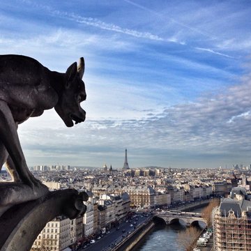 Paris Gargoyle