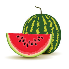 Slice and watermelon in vector
