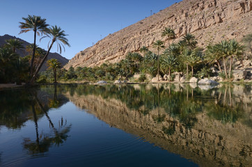Water pools in Wadi Bani Khalid, Oman