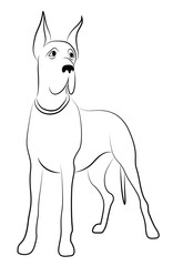 Great Dane Dog Contour Silhouette